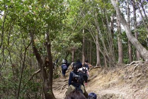 険しい山道を進んでいく学生たち