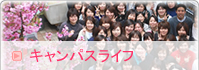 LpXCt